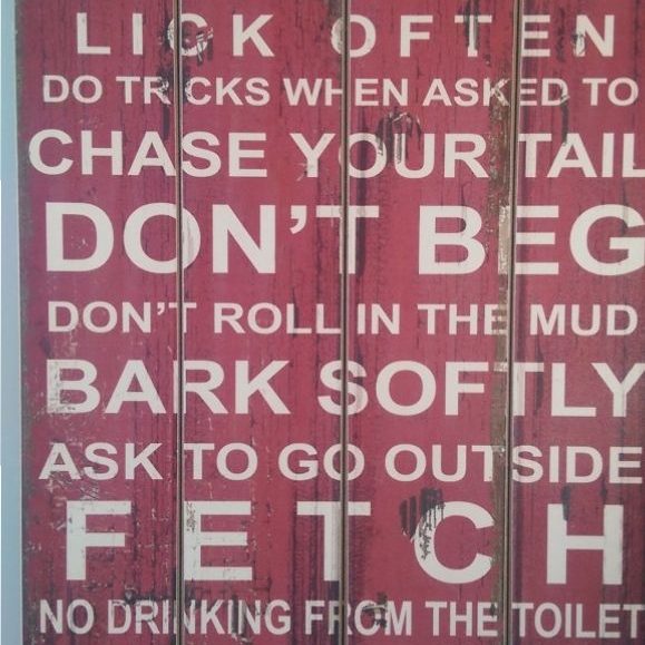 dog rules dog rules