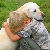 hug-dog hug-dog