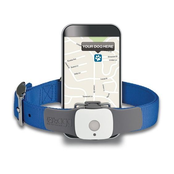 pet tracker